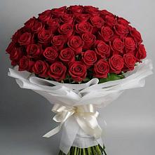 Букет 101 Красная роза Блэк Мэджик в Урыве-Покровке