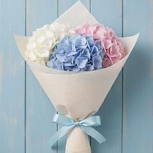 Букет цветов из:  Гортензия #REPLACE_PRED# Урыве-Покровке