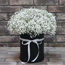 Цветочная композиция из Гипсофила в шляпной коробке в Урыве-Покровке