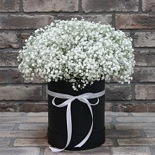 Цветочная композиция из Гипсофила в шляпной коробке в Урыве-Покровке