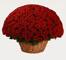 Премиум букет из: Розы в Урыве-Покровке