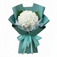 Букет цветов из:  Гортензия #REPLACE_PRED# Урыве-Покровке